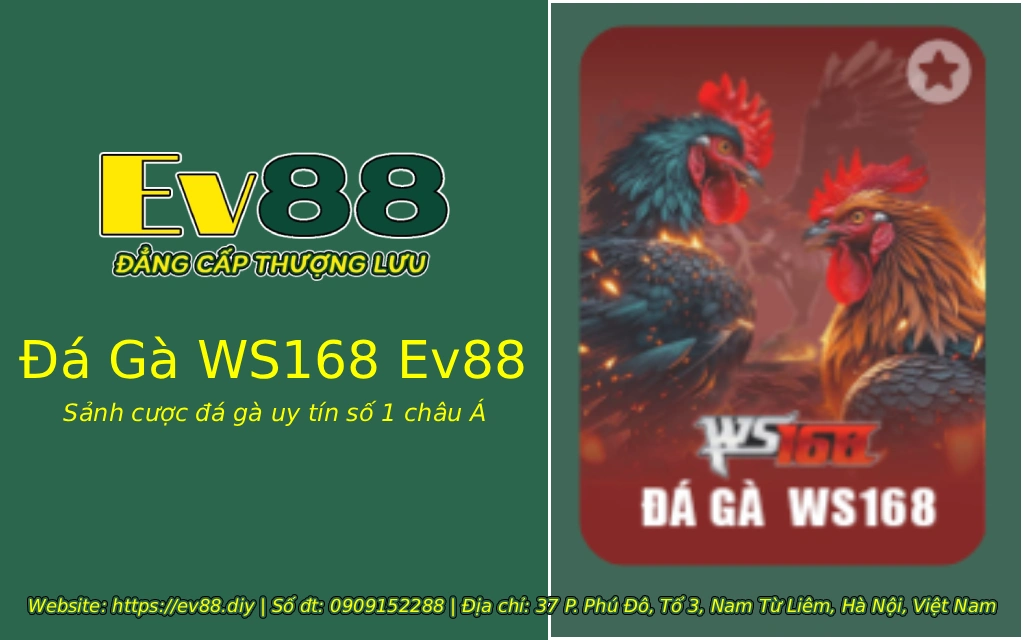 da ga ws168 ev88 1